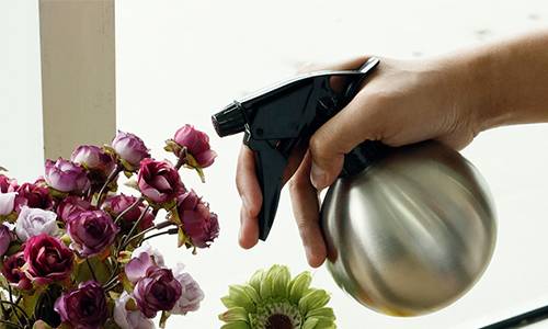 Small metal watering can for indoor plants