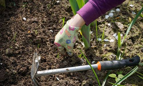 12 tools used for gardening for the beginner