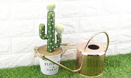 Is brass watering can bad for plants