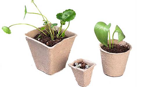 Benefits of biodegradable plant pots