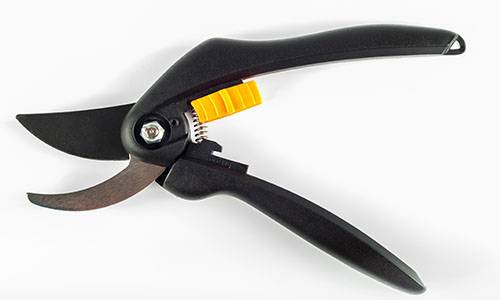How to sterilize pruning shears