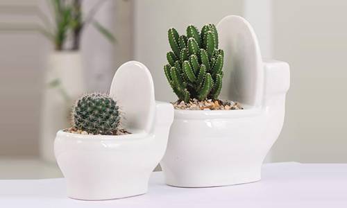 Miniature succulent planter in toilet shape toilet flower pot