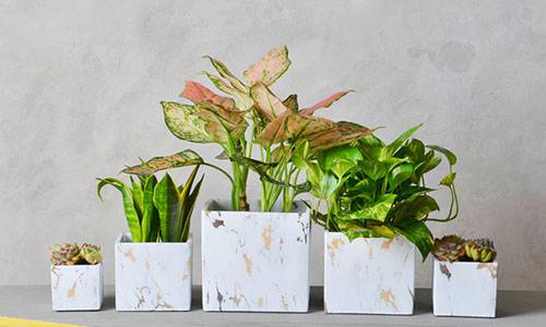 How to make an original oem plant pot with your own hands