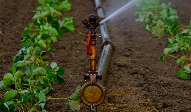What is a Drip Irrigation System