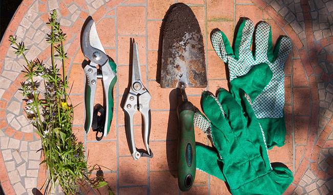What Gardening Tools Are Needed For The Garden